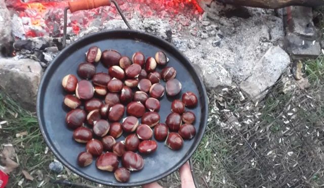 5.GELENEKSEL ÇADIRINI KAPTA GEL EĞİTİM KAMPI..