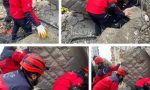Arama Kurtarma Gönüllülerinin Acil Durumlarda Sahada Karşılaştıkları Zorluklar