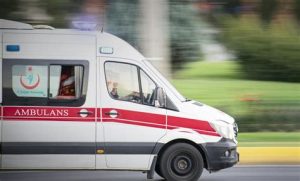 Hayvan Isırıklarında İlk Yardım ve Acil Tedavi