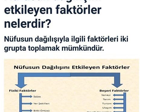 Heyelanların Nedenleri: Doğal ve İnsan Kaynaklı Faktörler
