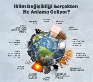 İklim Değişikliği ve Artan Sel Felaketleri: Küresel Riskler ve Çözümler
