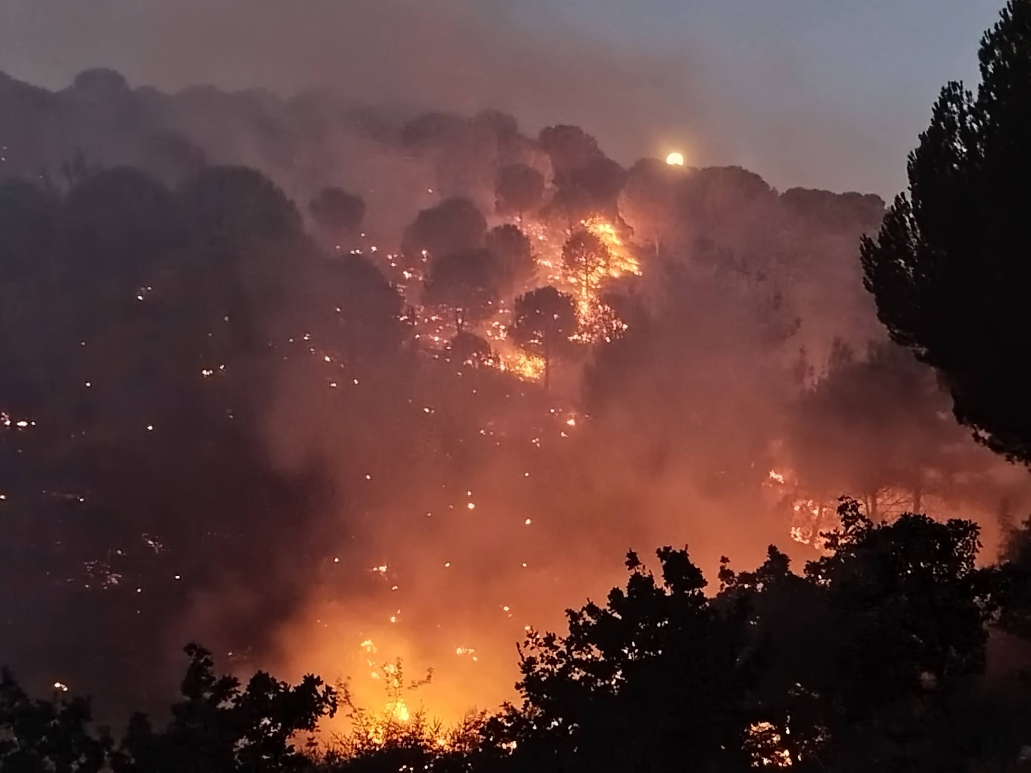Orman Yangınlarında da Hem Devletimizin Hem Milletimizin Hizmetindeyiz..